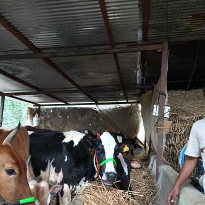 Whatsapp Image 2025 06 11 At 10.25.51 Pm